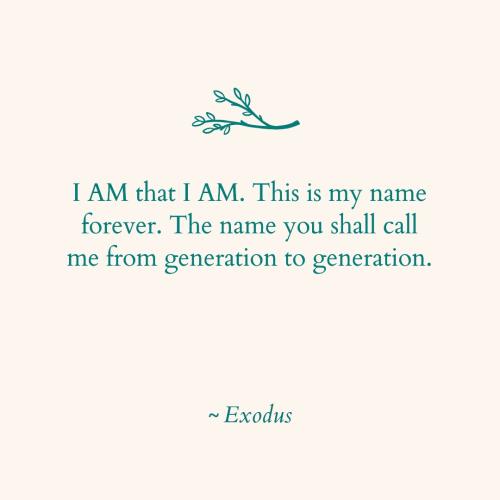 487185728_1223502363117020_2831468111277922925_n