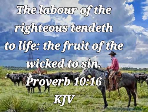 1ed164fd-8fd2-49a3-9f38-07ae8ba64368