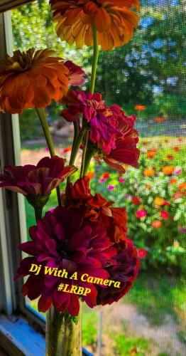 Screenshot_20250420_170619_Gallery