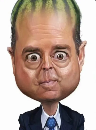 image_2025-04-13_080029795