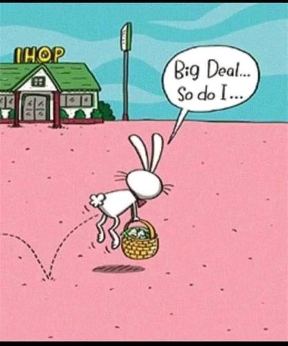 FB_IMG_1745183358439