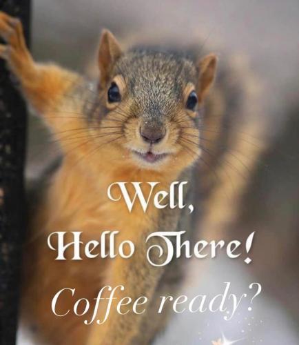 FB_IMG_1745434686542