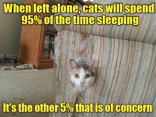 772f948803cee367bf15f79ec7257cbb