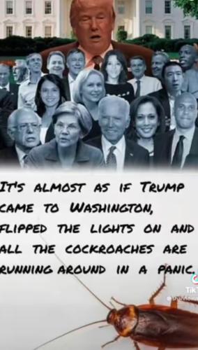 F1037F7A-4158-4B46-B2C7-AAED55858157