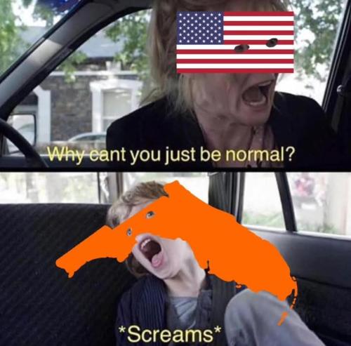 image_44D4D1C3-93C5-4FBD-8D6A-A82B8A78B68F