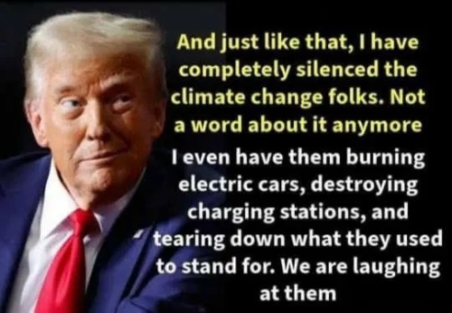 image_2025-04-10_061546584