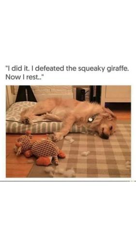 Resized_FB_IMG_1743946456637