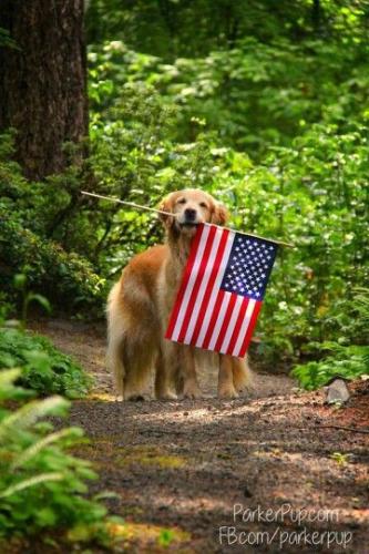 fe79b53ad189e59c017a4fa0fd7bcc07