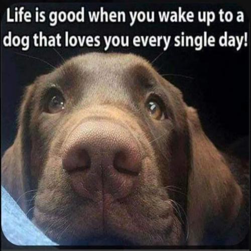 FB_IMG_1745682732800