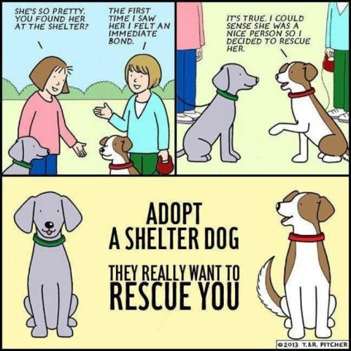 1ba6eea35db0894dab6bb867c568f1a4