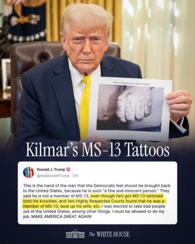 ms13 democrat patran saint