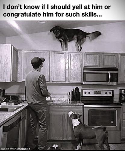 FB_IMG_1744298711386