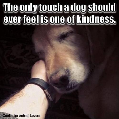 FB_IMG_1744378648549