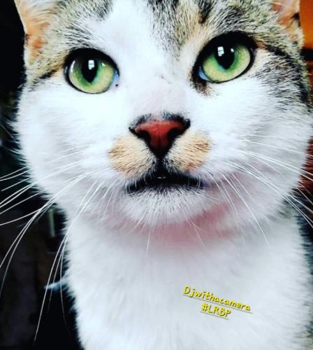 Screenshot_20250426_071438_Gallery