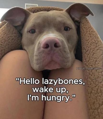 FB_IMG_1745681514059