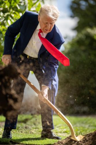 FB_IMG_1744143482643