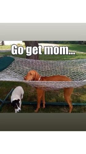 FAA56A36-17AA-4480-9687-C18C42591BF1