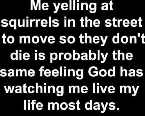 310dd6f3-3369-43c9-8648-a55e29825324