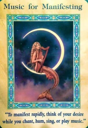 ,          ,  0424775766_746362