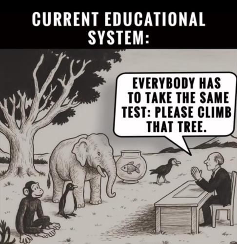 08b4500b-7b72-4a7b-98ed-69550e068e5b