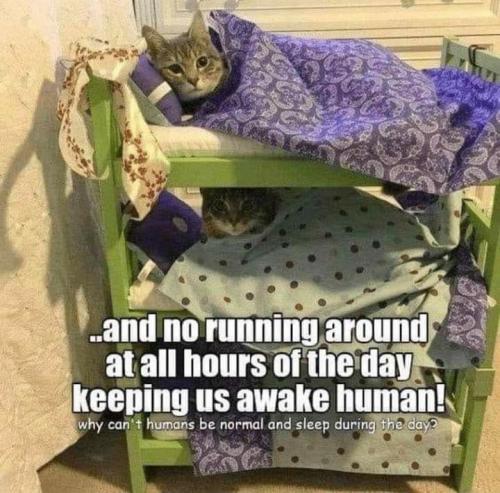 d3346c86f07e39ffc3a0c50ff360bcdc