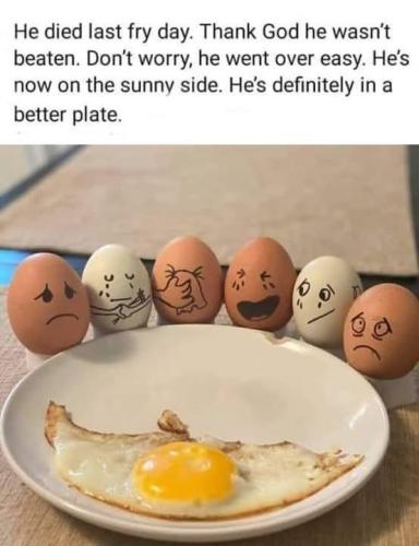 FB_IMG_1743448557895