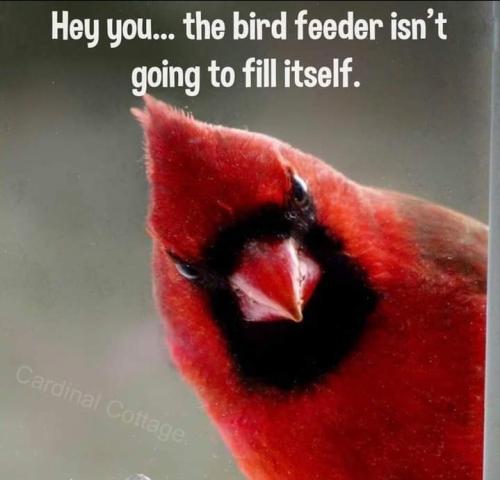 Screenshot_20250413_070737_Gallery