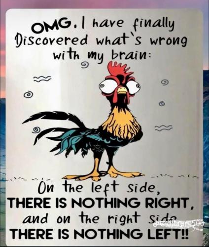 FB_IMG_1745255113711