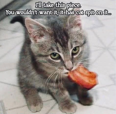 FB_IMG_1744735683840