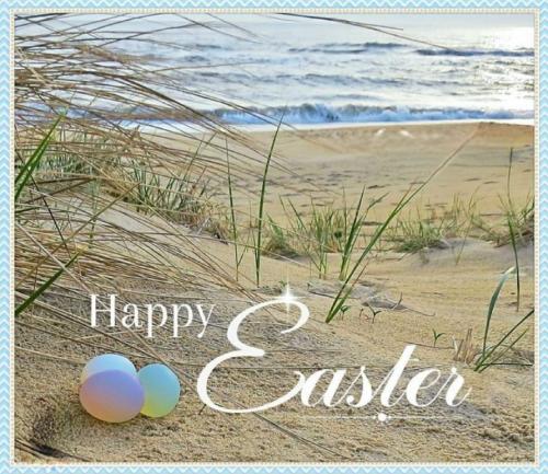 Screenshot_20250419_113159_Samsung Internet