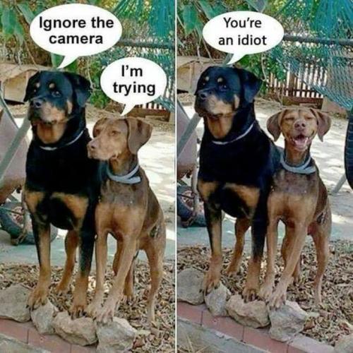 d150791523dae007292ba03748967ca8