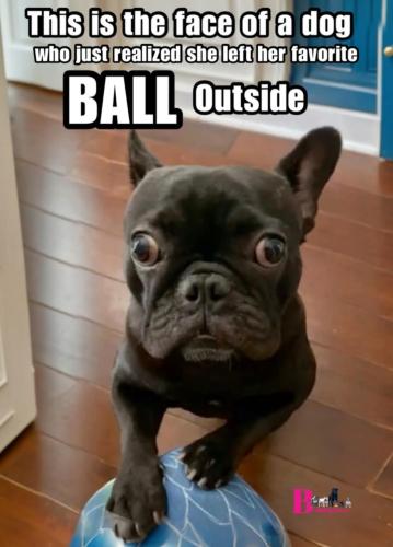 FB_IMG_1744834017555