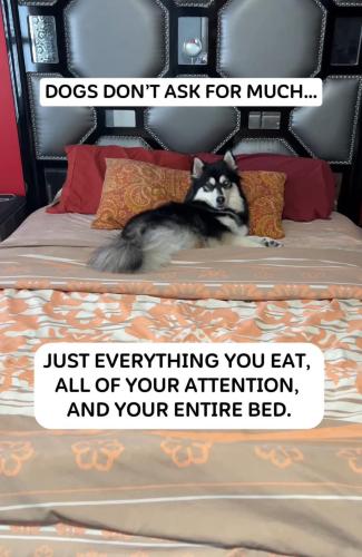 FB_IMG_1745149766454