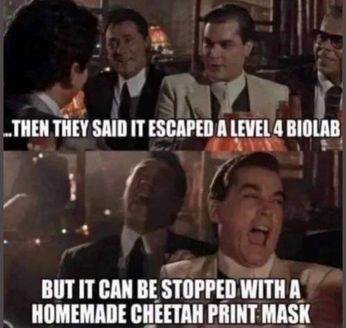 Screenshot_20250407_101641_Instagram