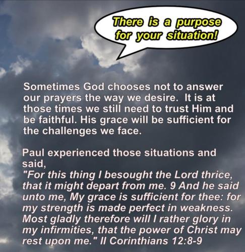 61b91eff-e336-440a-98d0-dbdecfaf9ec9