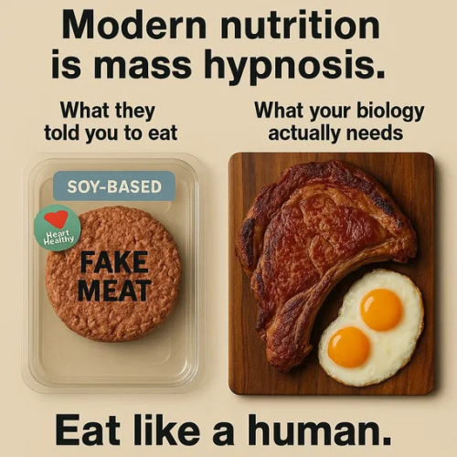 image_2025-04-04_061156062