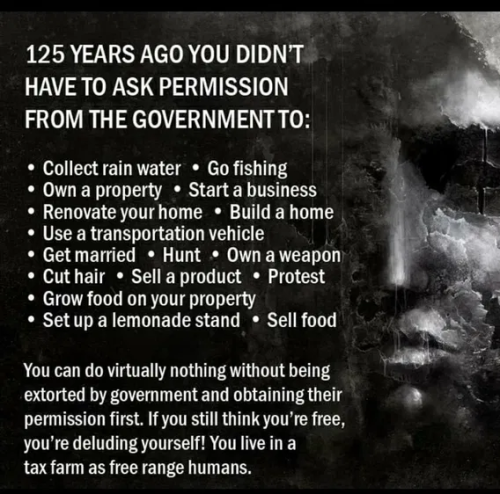 image_2025-04-16_061621631