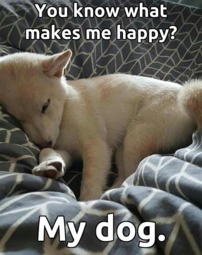 cc0c9b735bc459dad5ff56dc205558a4