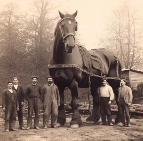 20:35:19 GMT-0500 (CDT)