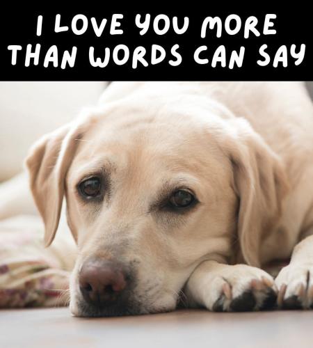 FB_IMG_1743538996072