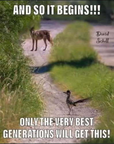 Screenshot 2025-04-11 081836