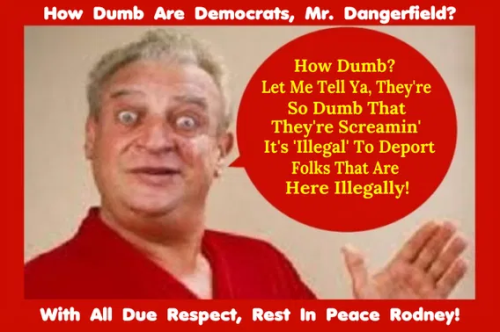 image_2025-04-07_065016918