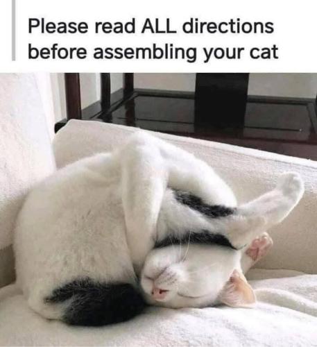 FB_IMG_1745366027782