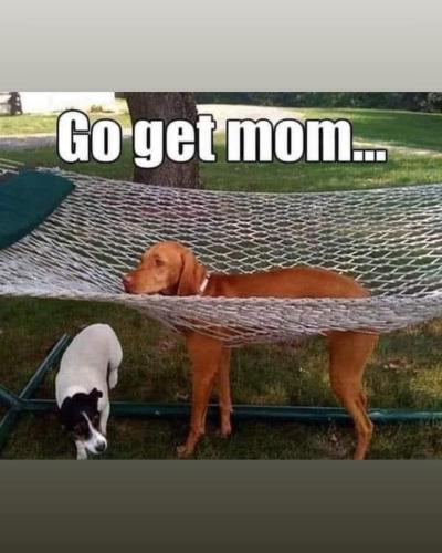 FB_IMG_1743706192851