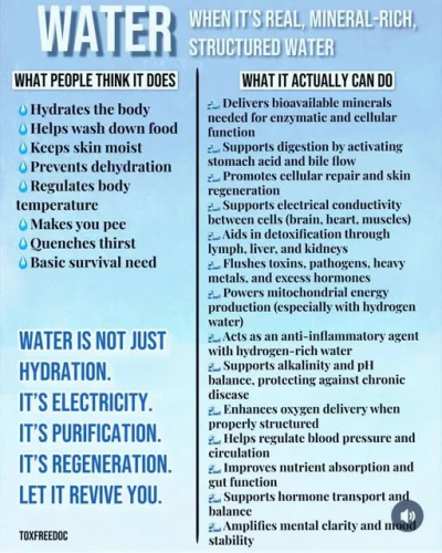 image_2025-04-02_063013420