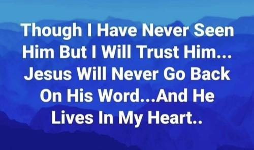 15cb1e10-1ce9-4589-92f3-b068ddfc3f06