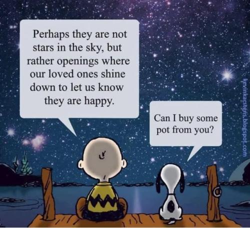 490264393_10159578124279649_8926437025293065730_n