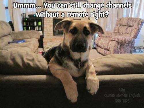 6cfc49ce7716116d1d150117e3afc73a