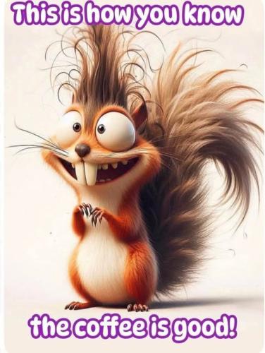 488199142_3840926572889256_6364534428700993448_n