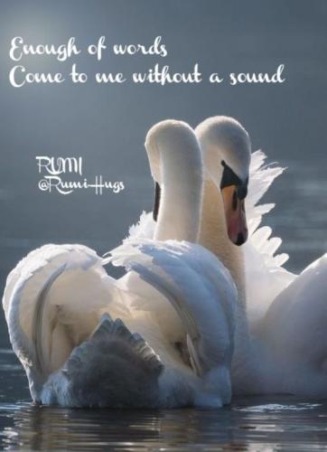 344009951_98832838252